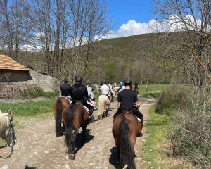 2025-cerdanya-abril-01