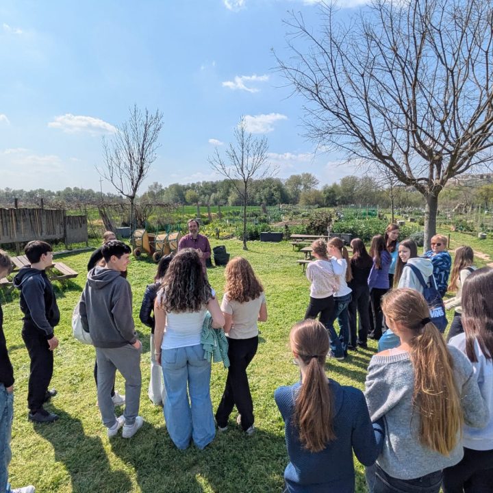 erasmus_liminka_a_catalunya_insjoanoro-3