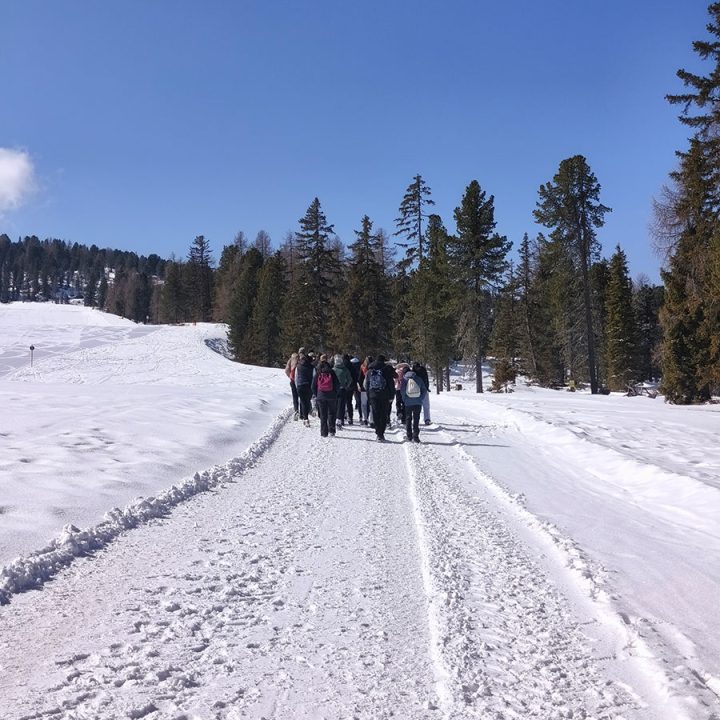 erasmus_murau_insjoanoro-7