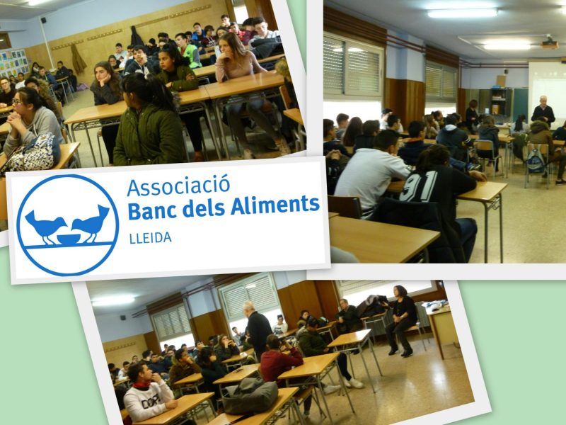 43 BANC ALIMENTS_pet